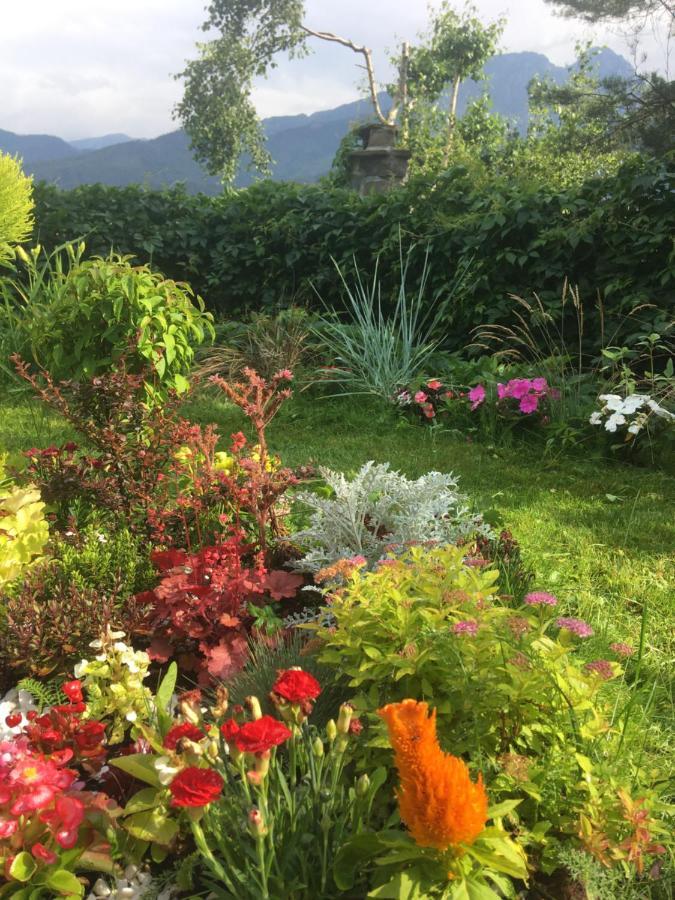 Apartament Poleczka Zakopane Koscielisko 外观 照片