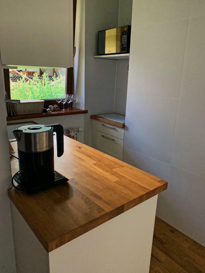 Apartament Poleczka Zakopane Koscielisko 外观 照片