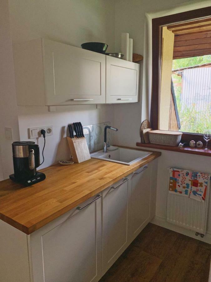 Apartament Poleczka Zakopane Koscielisko 外观 照片